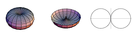 Torus_cutaway.gif